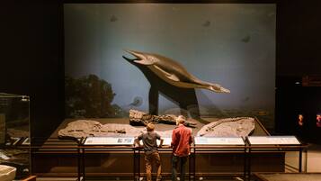 Exposição de museu com uma grande vitrine de um réptil marinho pré-histórico e dois visitantes observando.