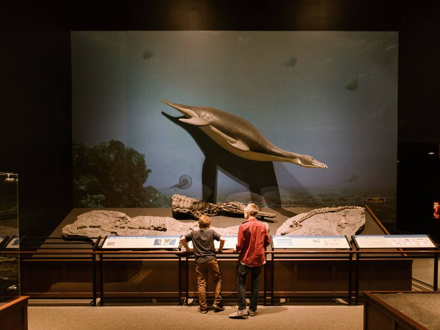 Exposição de museu com uma grande vitrine de um réptil marinho pré-histórico e dois visitantes observando.