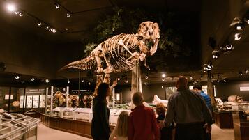 A museum exhibit with a large dinosaur skeleton.