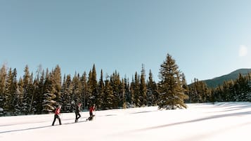 Snø- og skisport