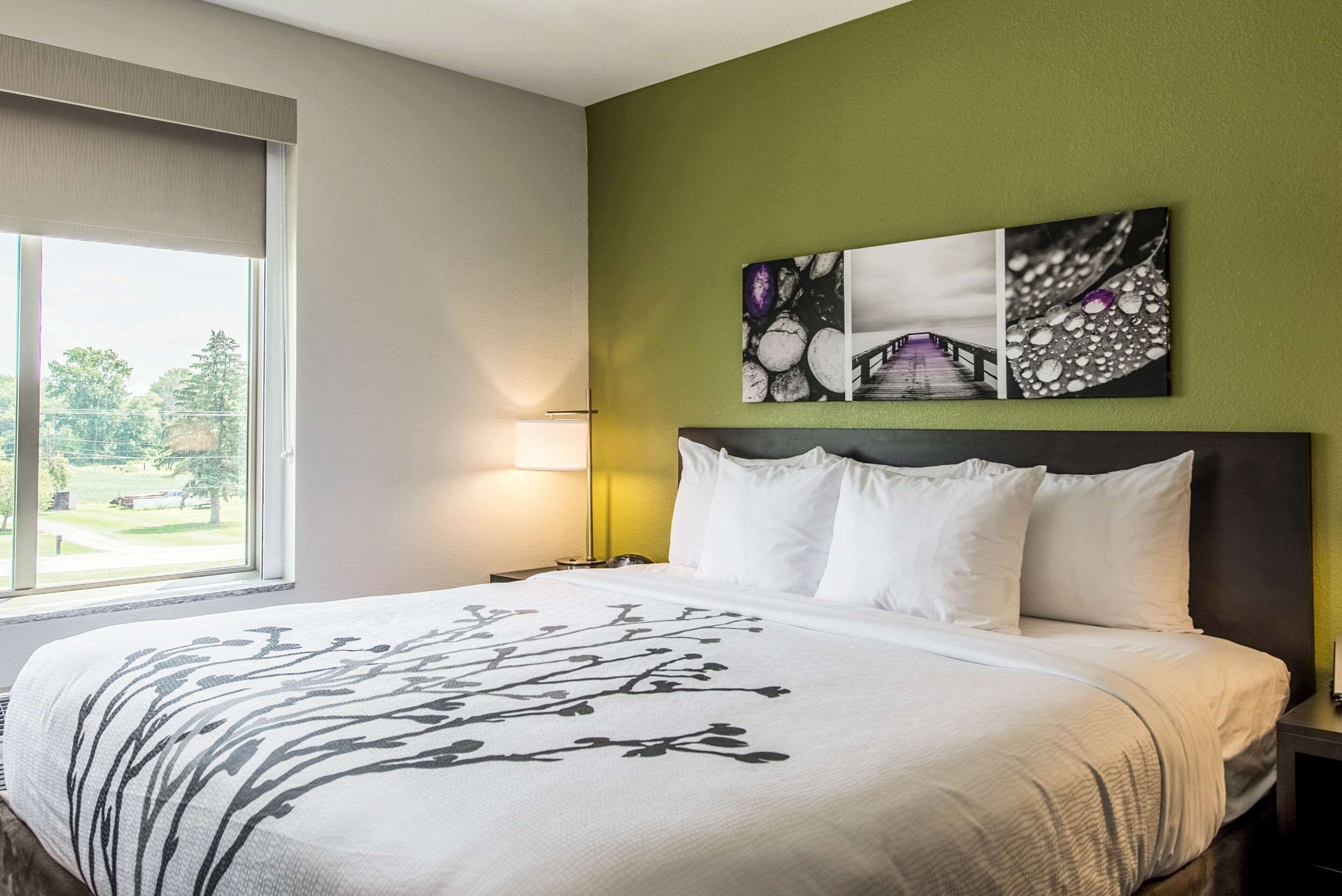 suite, 1 king bed with sofa bed, non smoking (2 person sofa bed) | desk, laptop workspace, iron/ironing board, free cots/infant beds