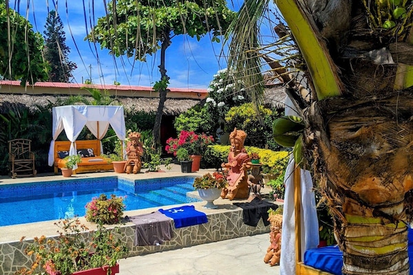 Outdoor pool, sun loungers