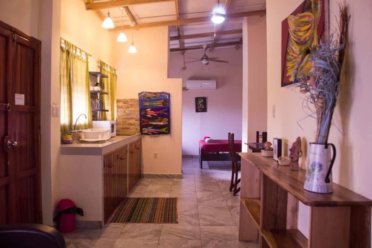 Une cuisine équipée d’un four à micro-ondes, d’un évier et d’une armoire en bois. Un tableau est accroché au mur et un ventilateur de plafond est installé.