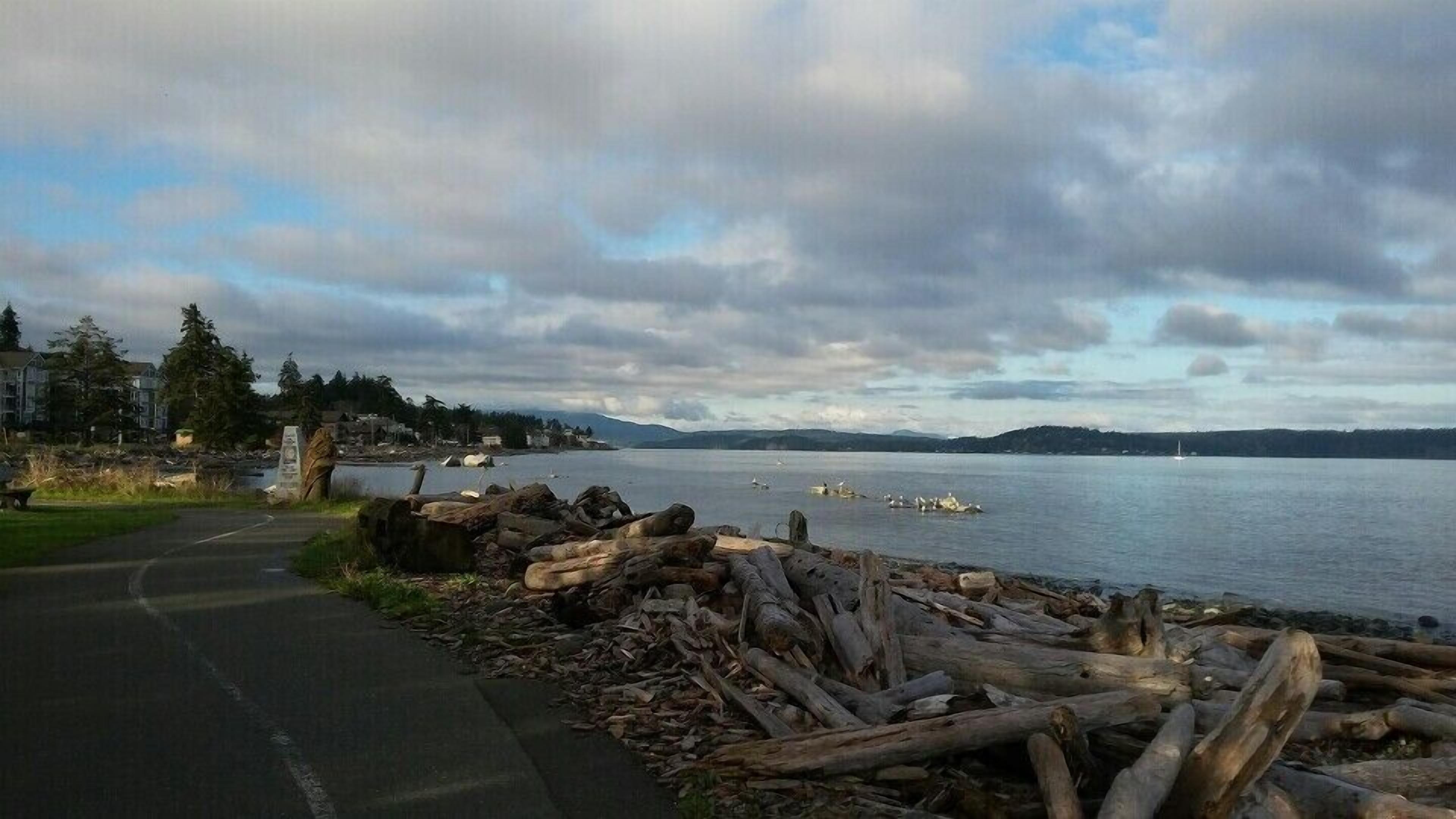 A coastal road with a pile of logs and a clear view of the water and distant mountains.