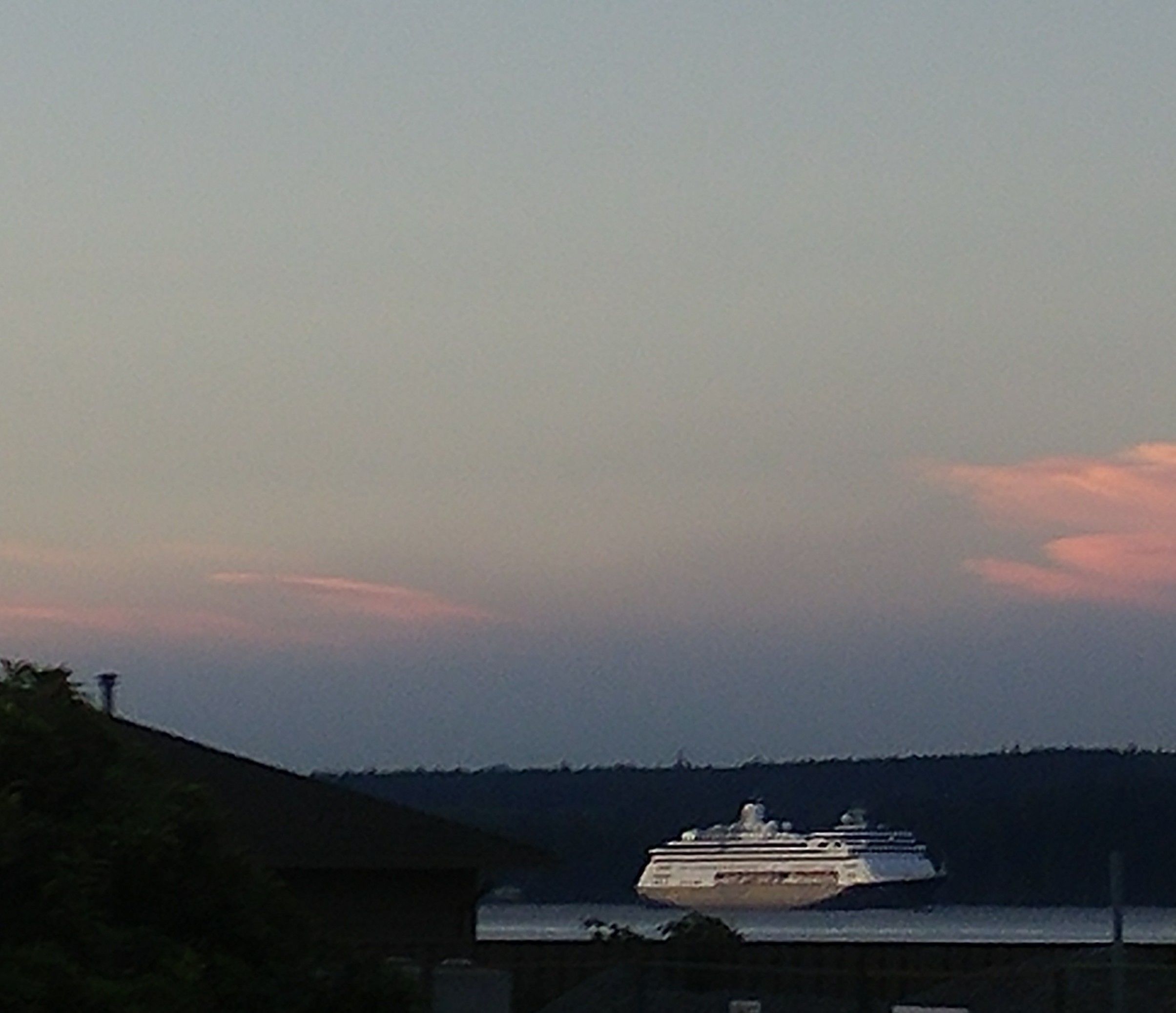 Un crucero atracado en un puerto, con una costa arbolada al fondo.