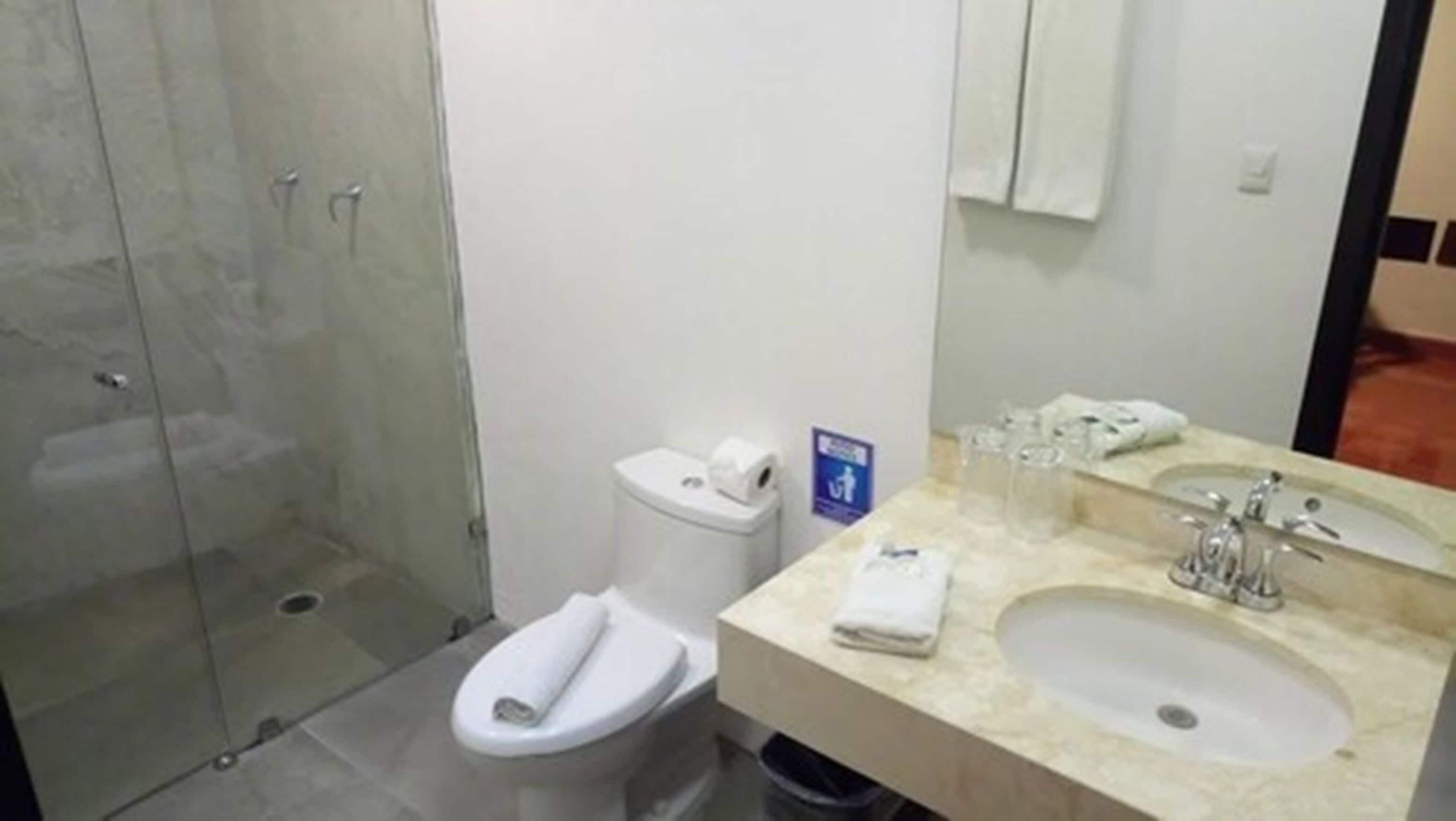 Un baño con cabina de ducha de vidrio, inodoro y lavamanos con espejo.