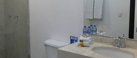 Un baño con inodoro, lavamanos y ducha.