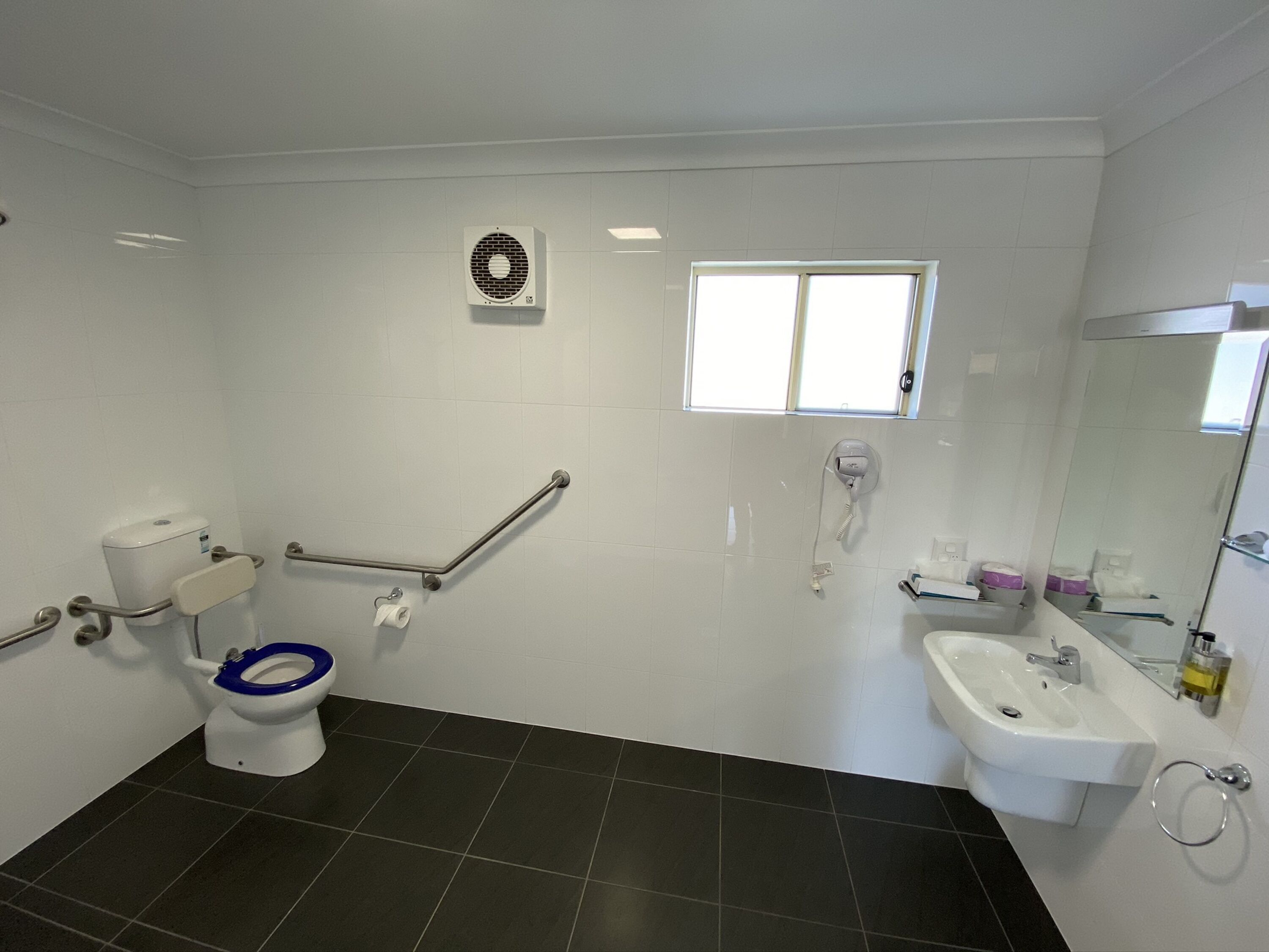 Une salle de bain comprenant des toilettes, un bidet, des barres d’appui, une fenêtre, un lavabo et un miroir.