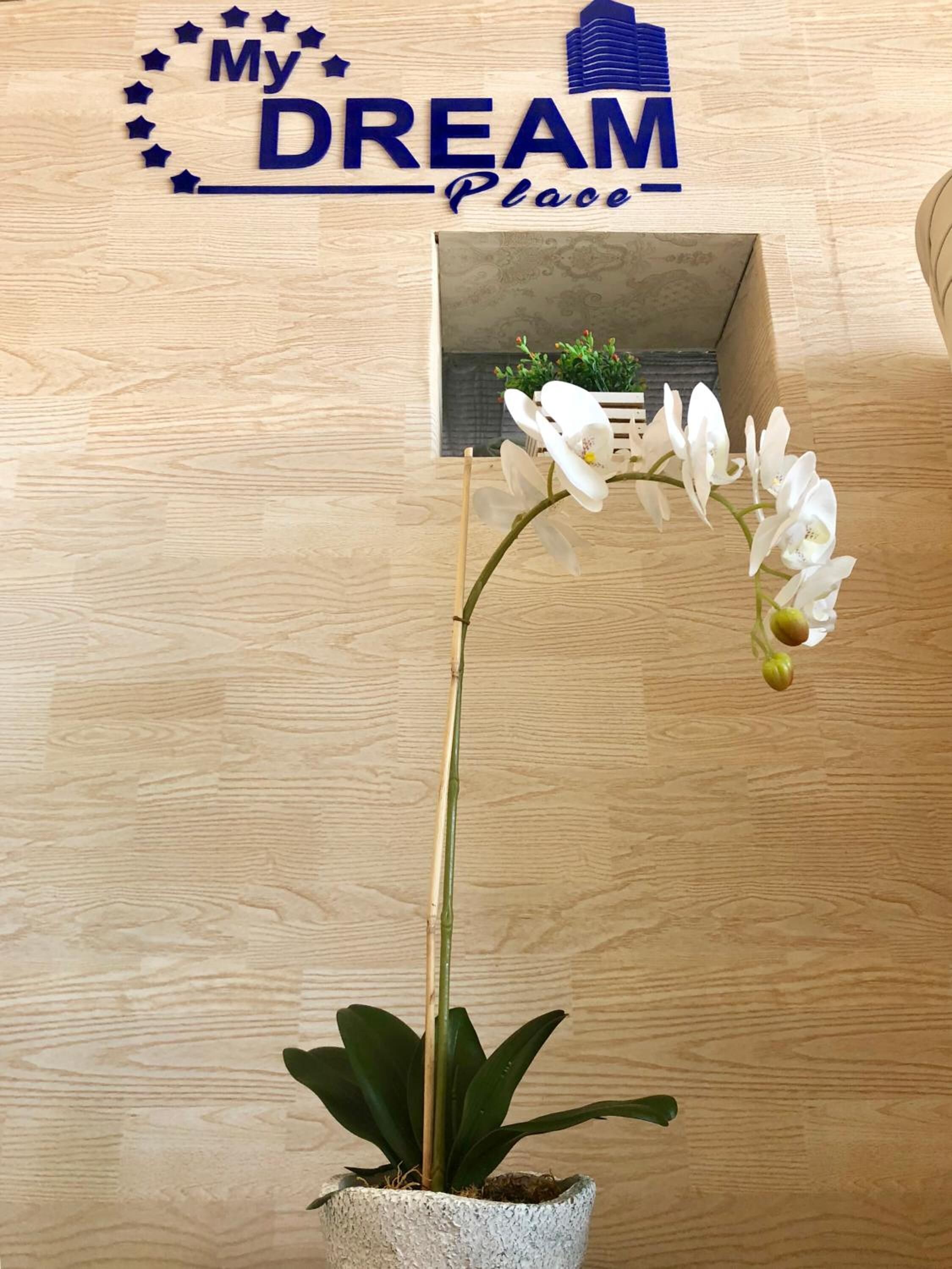 Een pot orchidee voor een houten achtergrond, met een bord waarop staat 'My DREAM Place'.