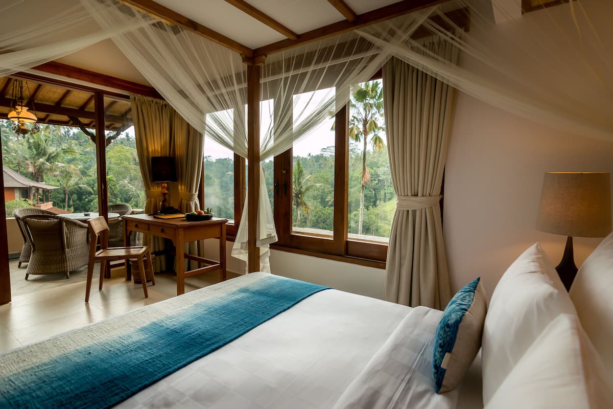 Family Suite | View from room