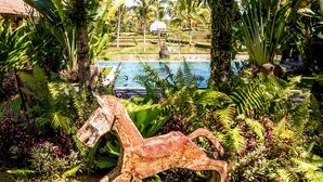 A tropical garden with a rusted metal horse sculpture, palm trees, and a pool. - Hati Padi Cottages (Payangan)