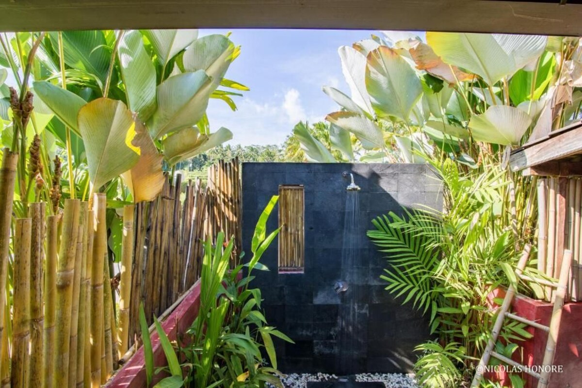 A tropical garden with a bamboo fence, large banana leaves, and a black wall with a window.