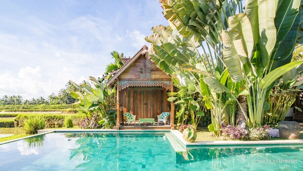 A poolside view of a wooden house with a covered porch, surrounded by lush tropical vegetation. - Hati Padi Cottages (Payangan)