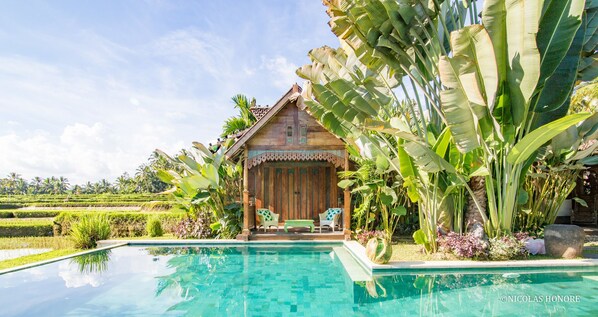 Outdoor pool - Hati Padi Cottages (Payangan)