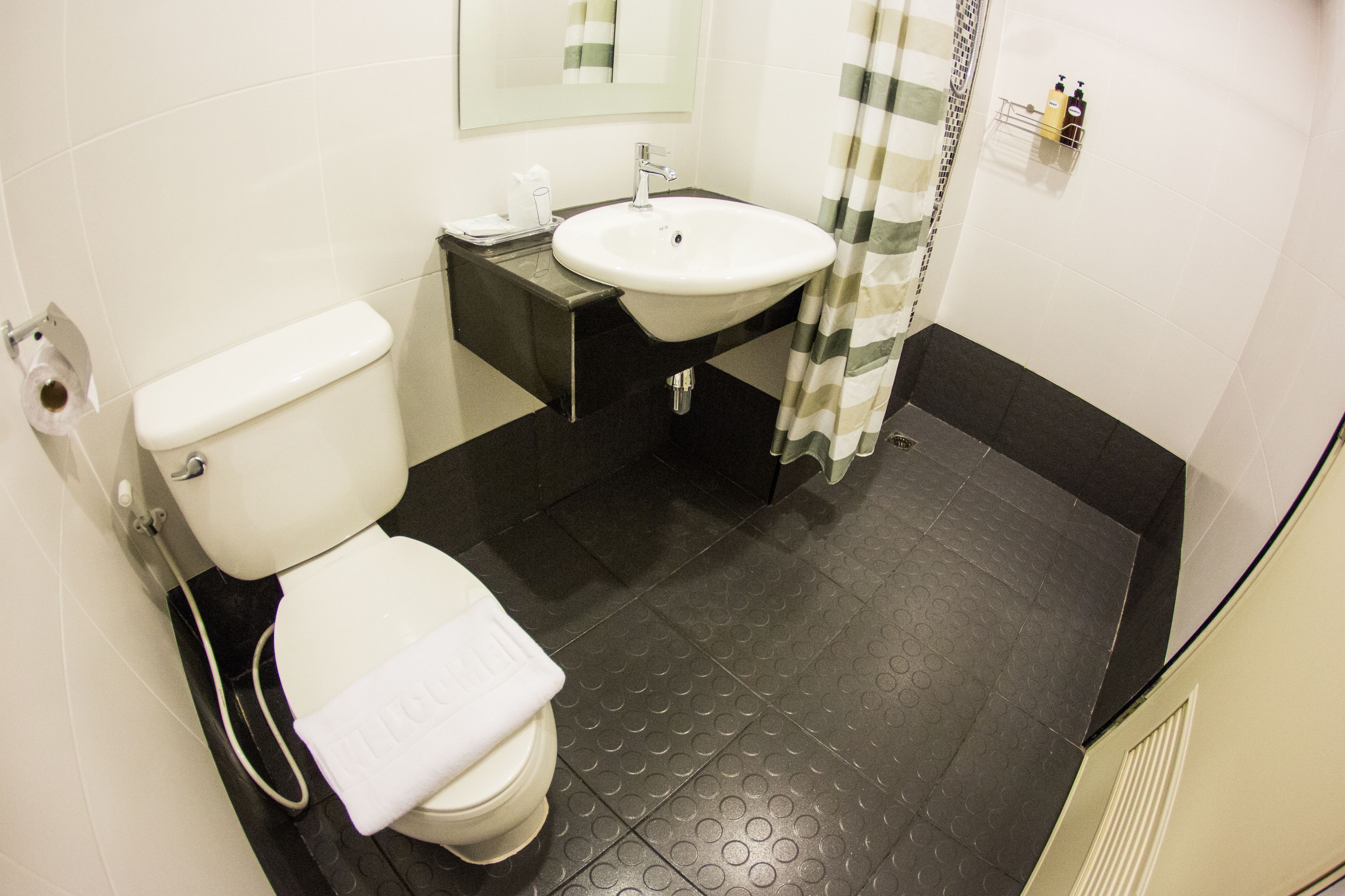 standard double room, 1 king bed | bathroom amenities | shower, free toiletries, hair dryer, towels