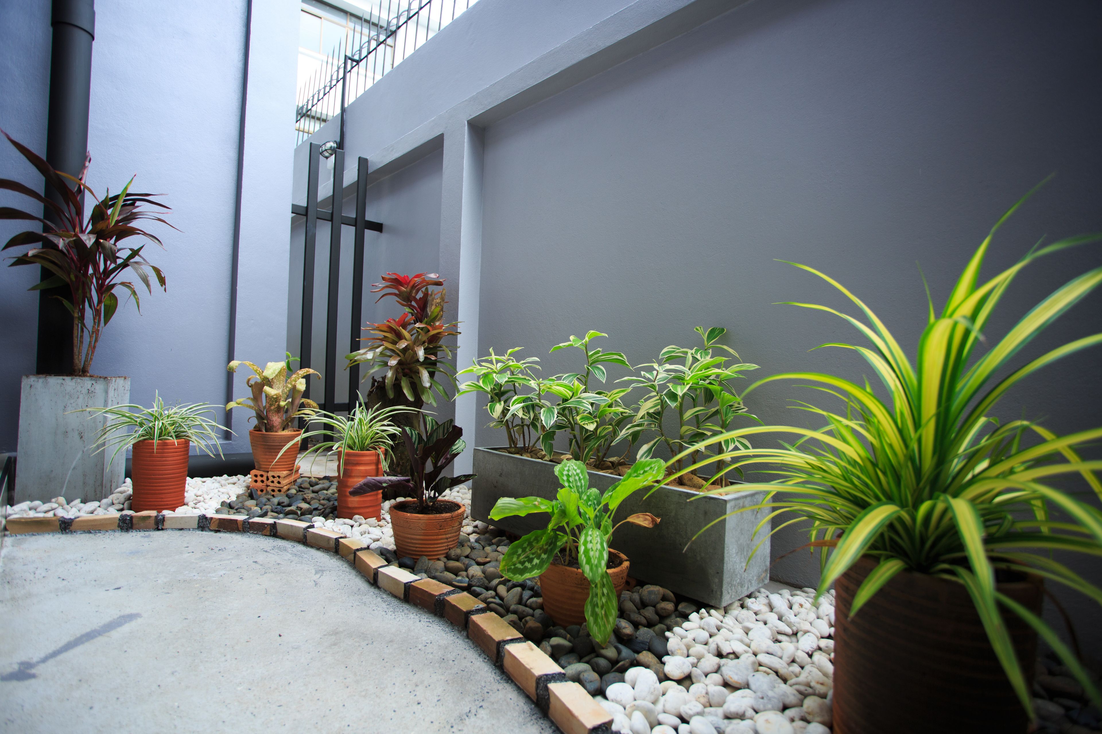 standard double room, 1 king bed | balcony