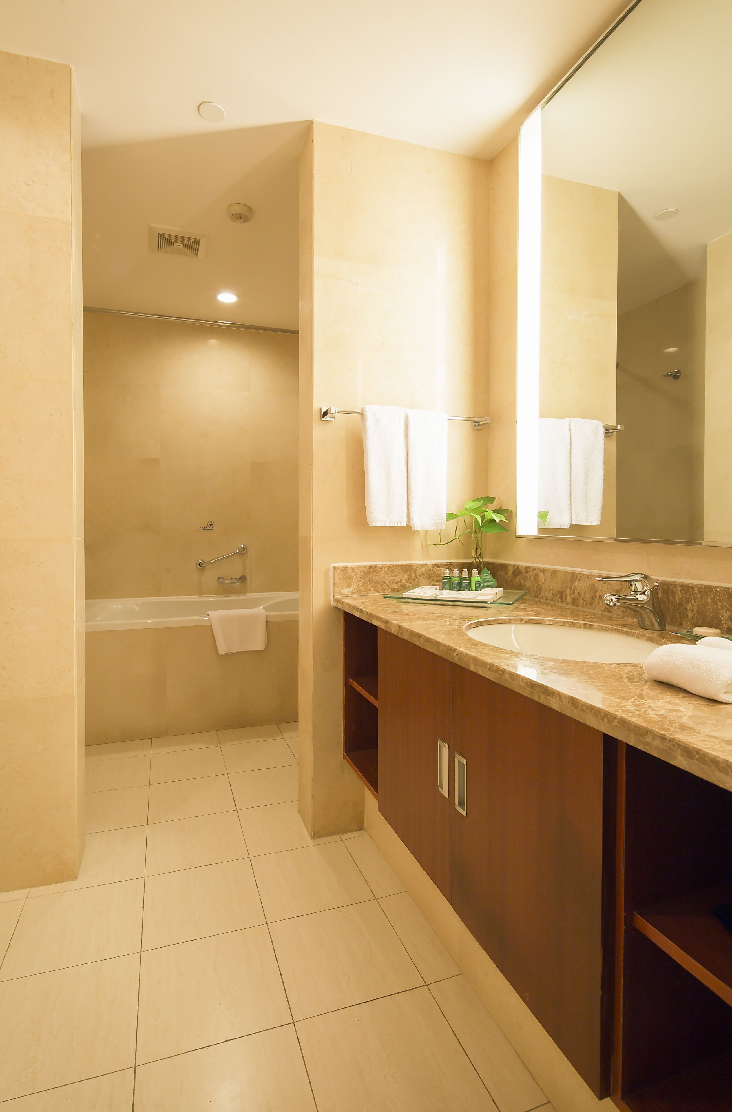 business suite | bathroom | shower, free toiletries, hair dryer, bathrobes