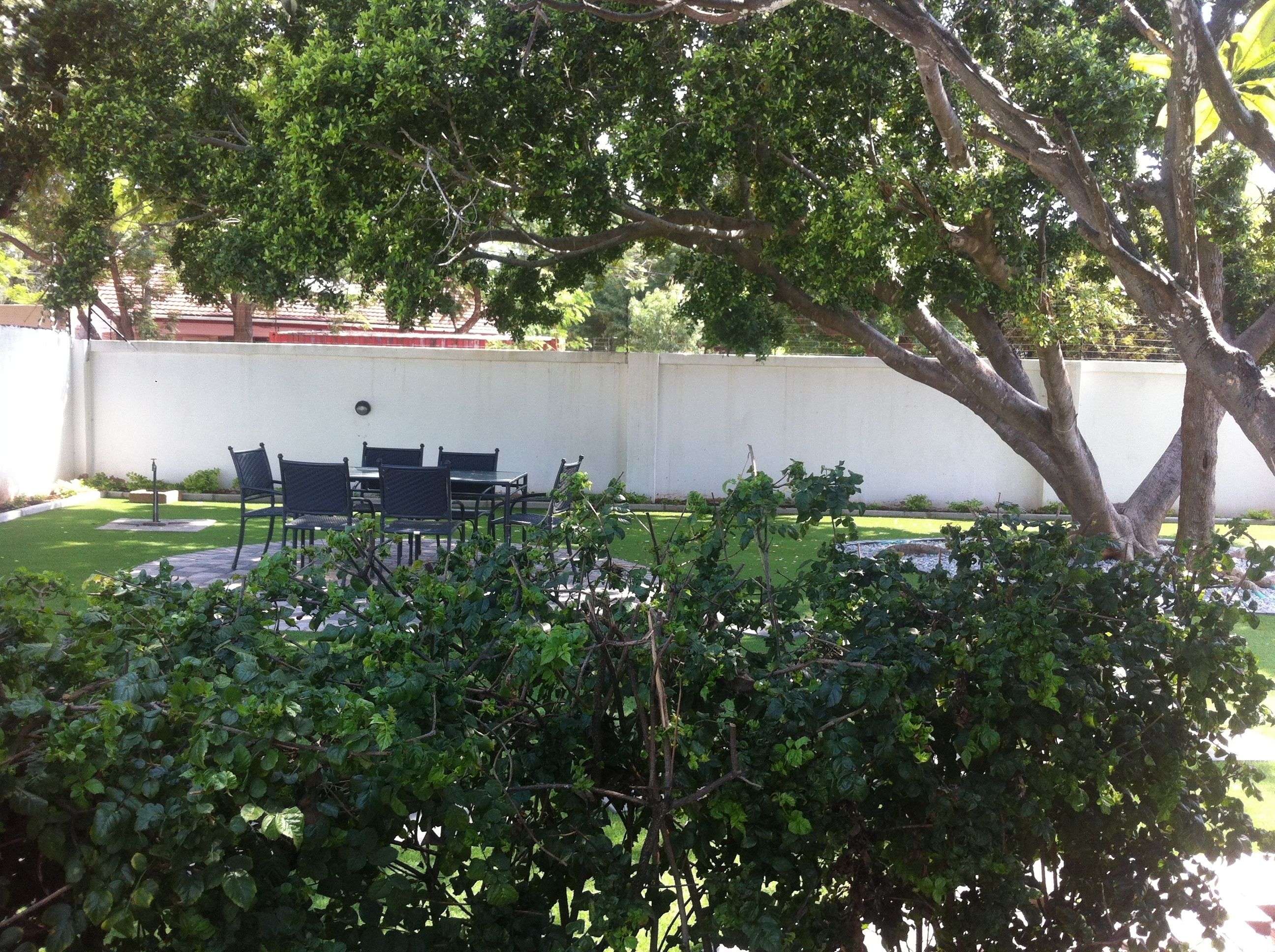 An outdoor seating area with tables and chairs, surrounded by greenery and a white wall.