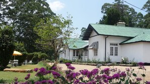 Un edificio blanco con techo verde, rodeado de exuberante follaje y flores moradas.