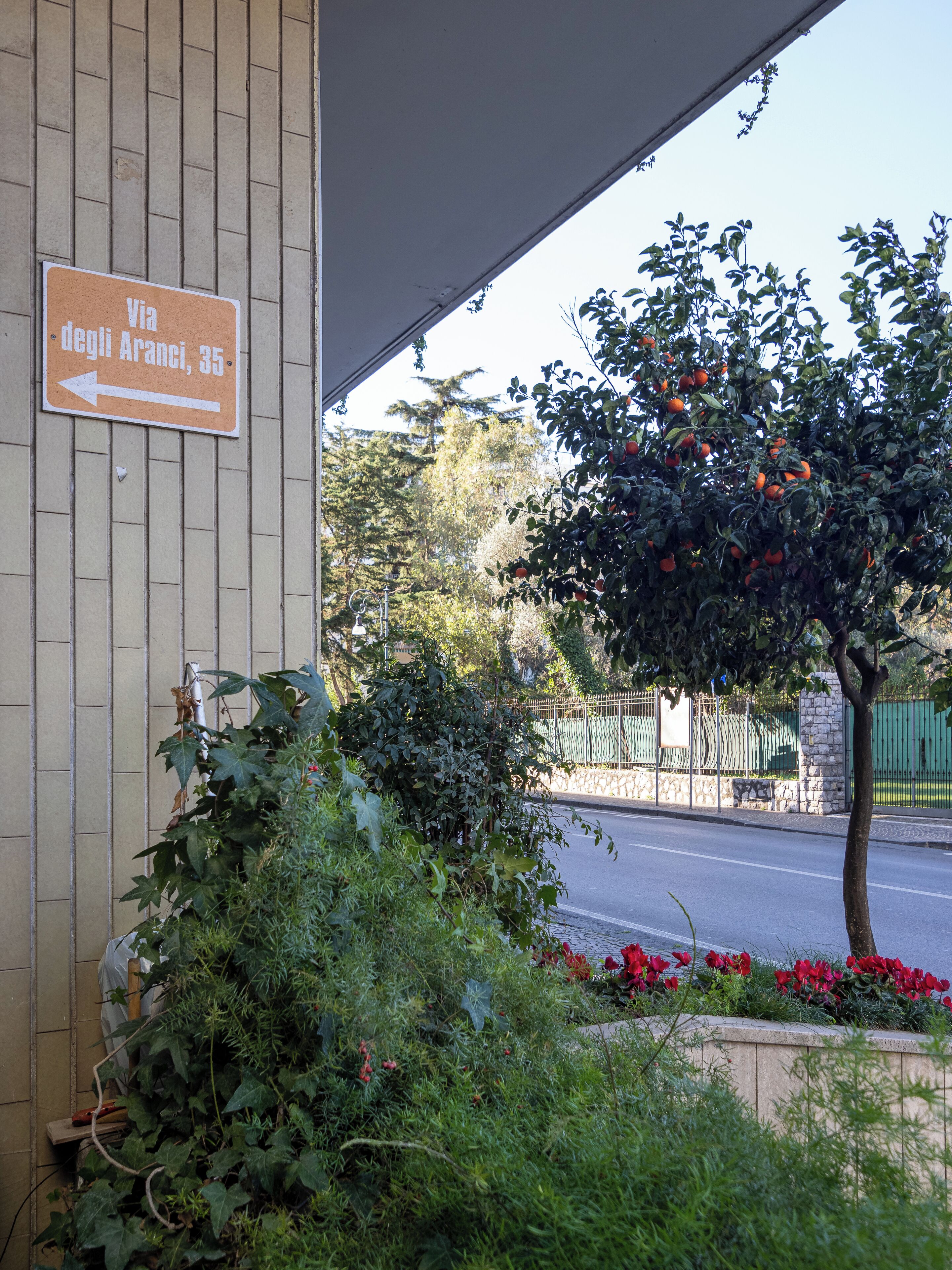 Photo - Orange Suites - De Vivo Realty Sorrento