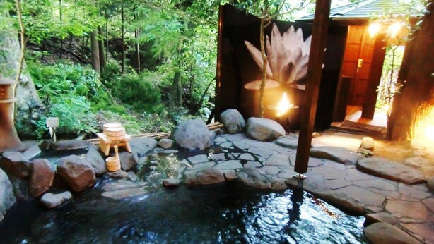 Un cadre extérieur paisible, avec un petit étang, un sentier de pierres et des structures en bois.