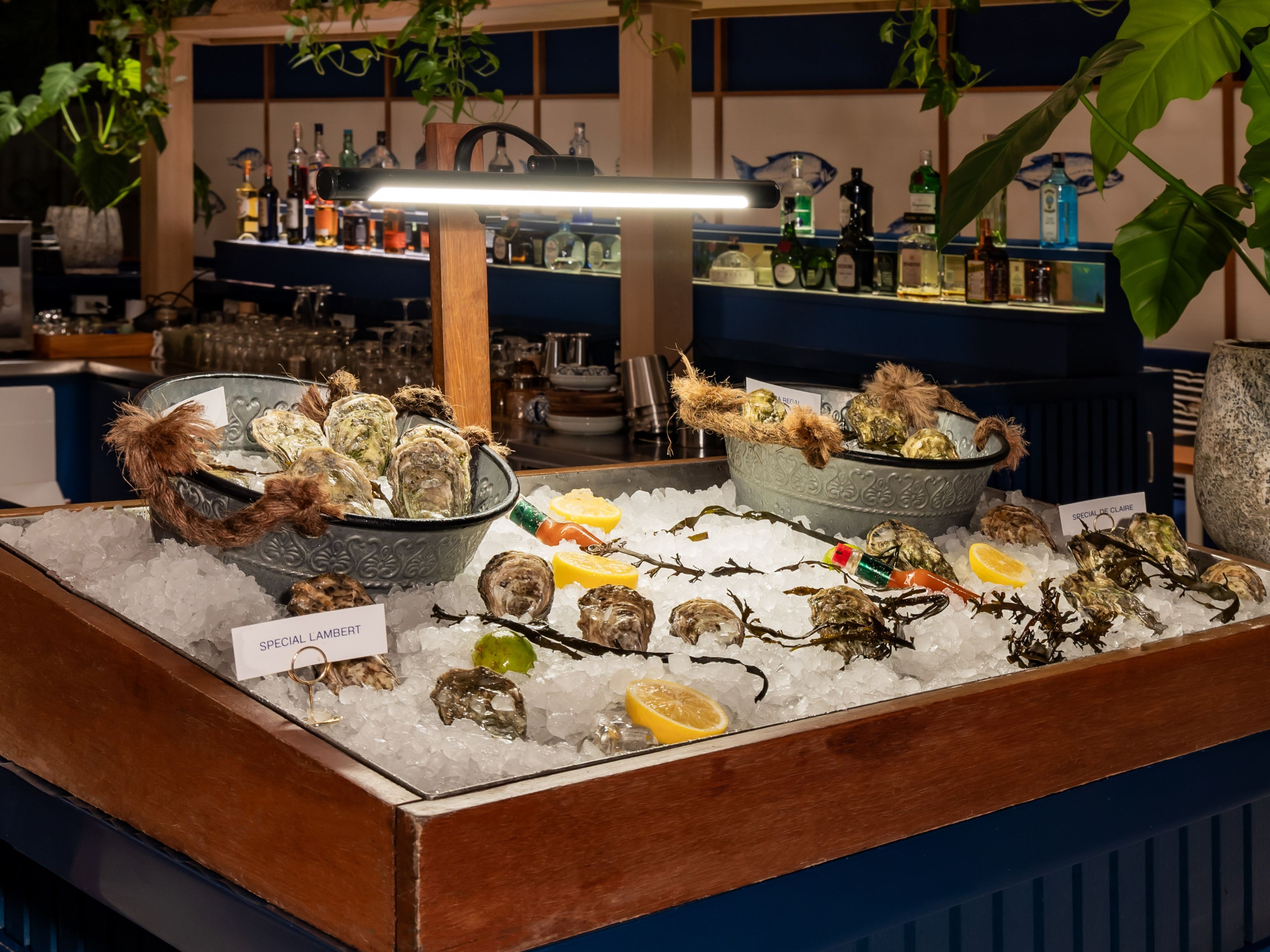 A seafood display with oysters and other shellfish on ice, a bar area with bottles and glasses, and a wooden counter.