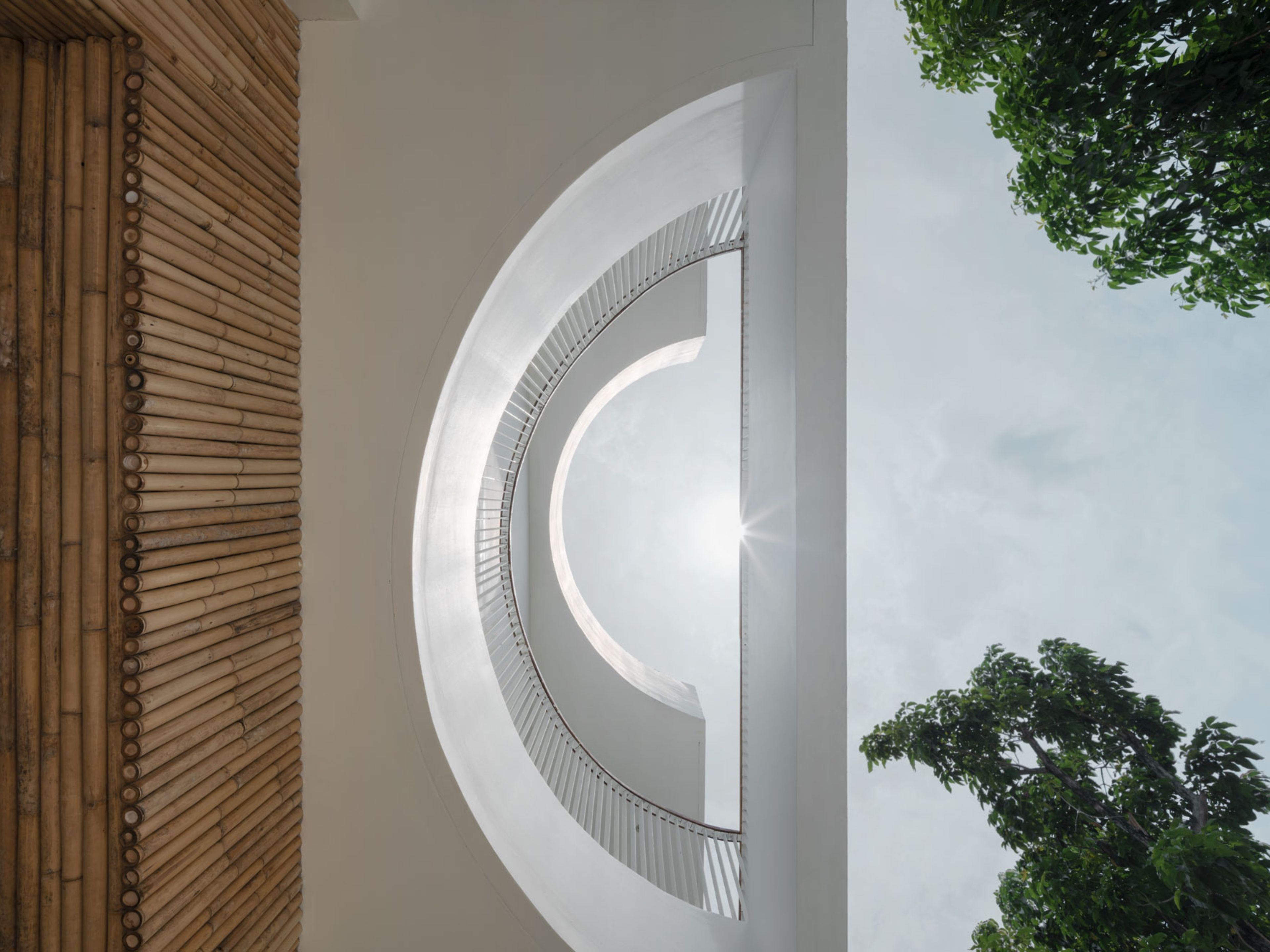 A modern architectural design with a curved white wall and a bamboo structure.