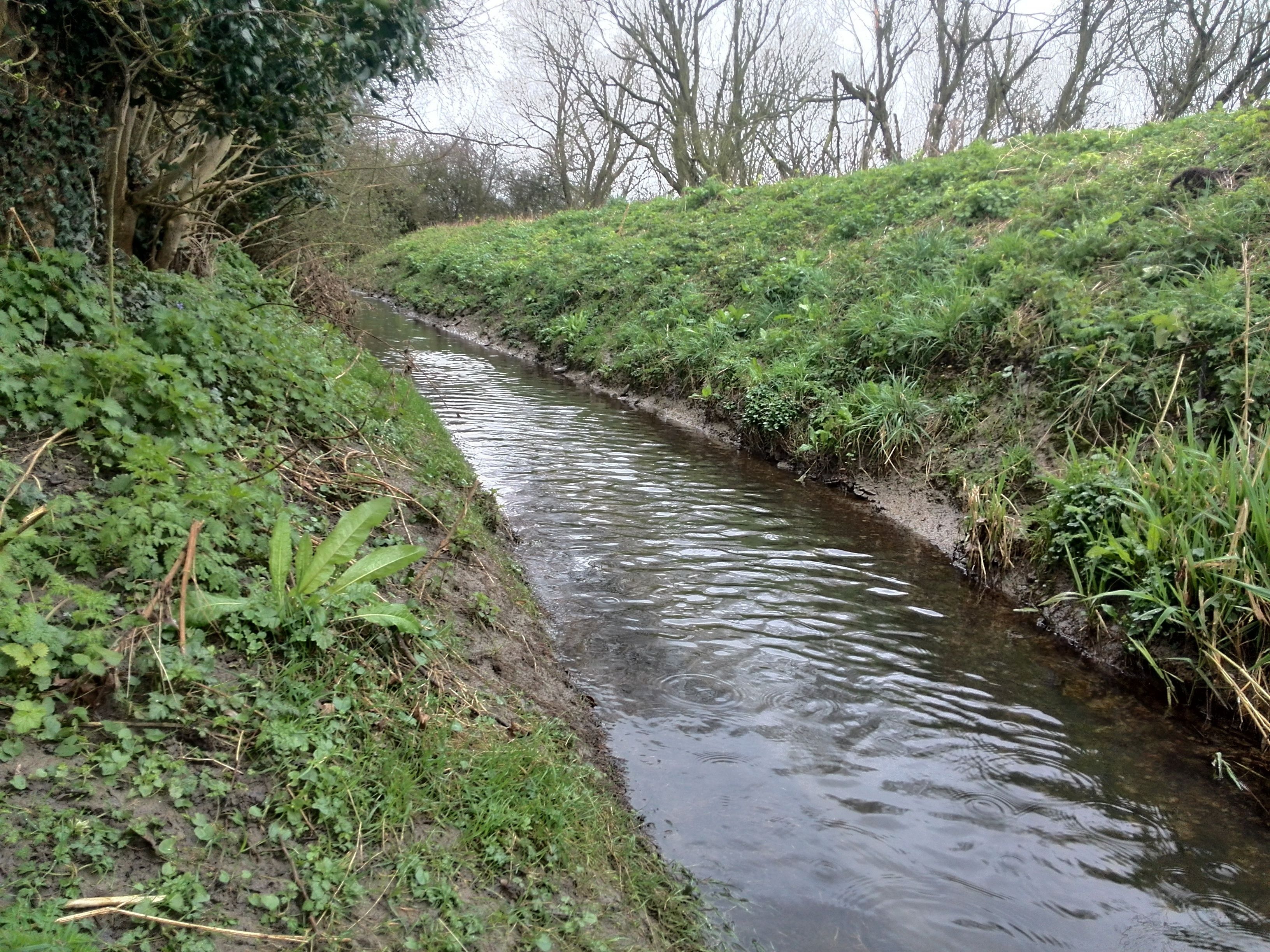 A narrow water channel flanked by dense greenery and trees.
