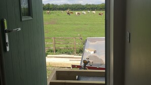 A view from a room with a door leading to a green field where cows are grazing. - Brampton Dales Farm B&B (Gainsborough)