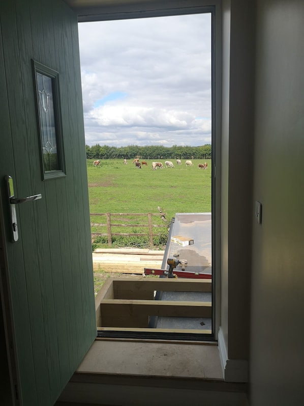 Vista desde una habitación con puerta que da a un campo verde donde pastan vacas.
