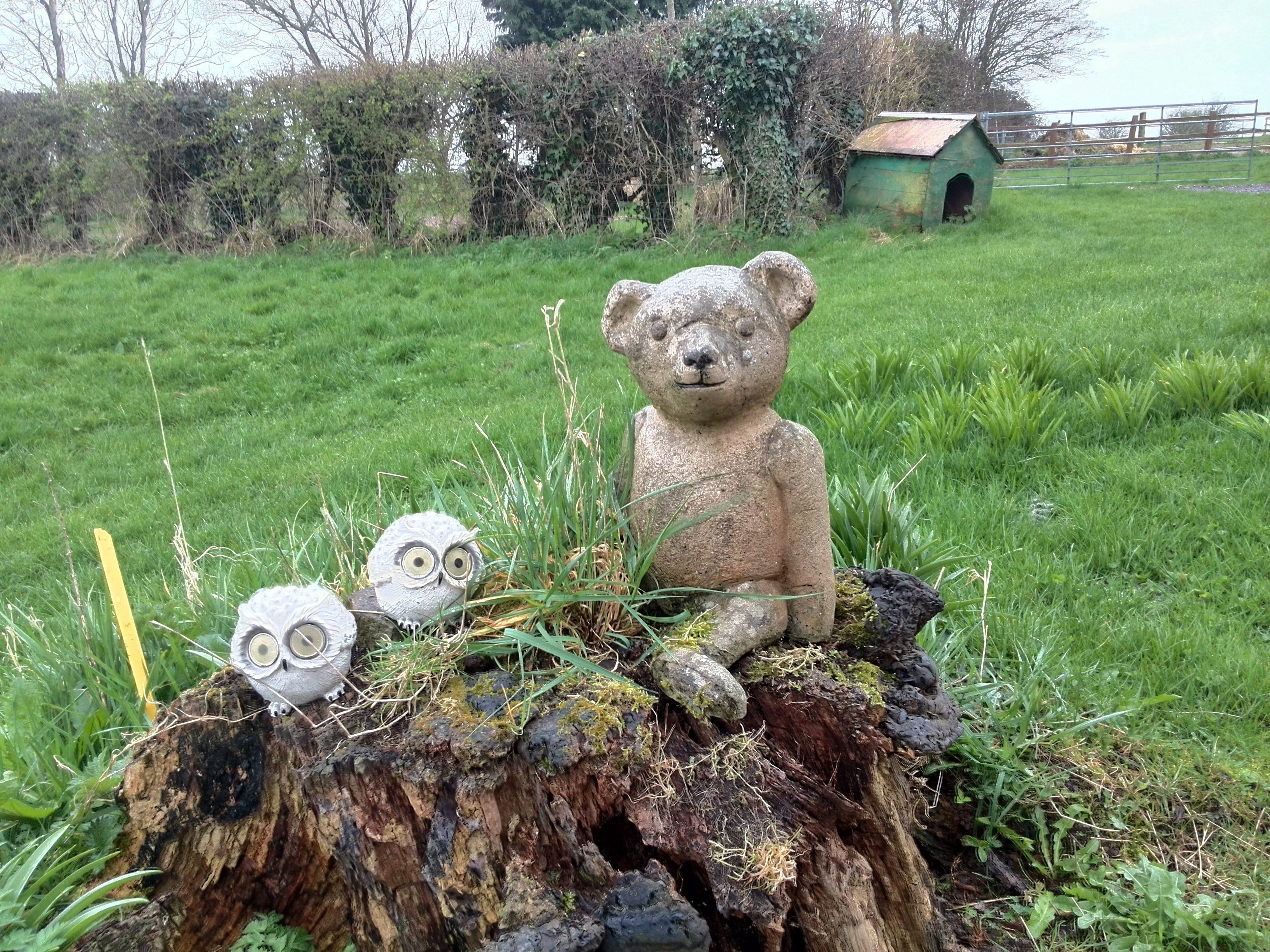 Cena rústica ao ar livre com uma estátua de urso de pedra sentada sobre um toco de árvore, cercada por grama e pequenas plantas.