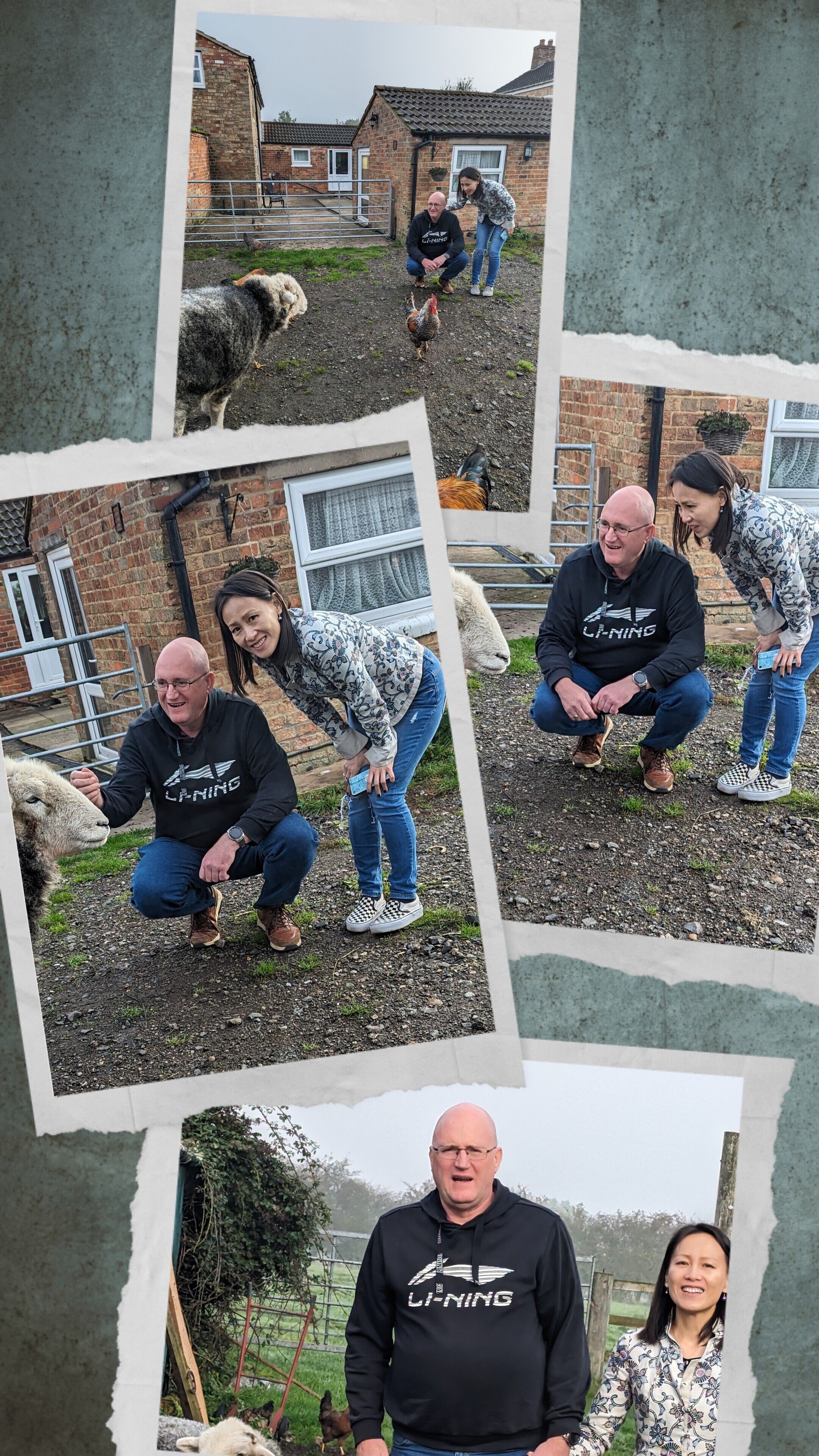Un collage de fotos mostrando a un hombre y una mujer interactuando con animales en un entorno al aire libre.