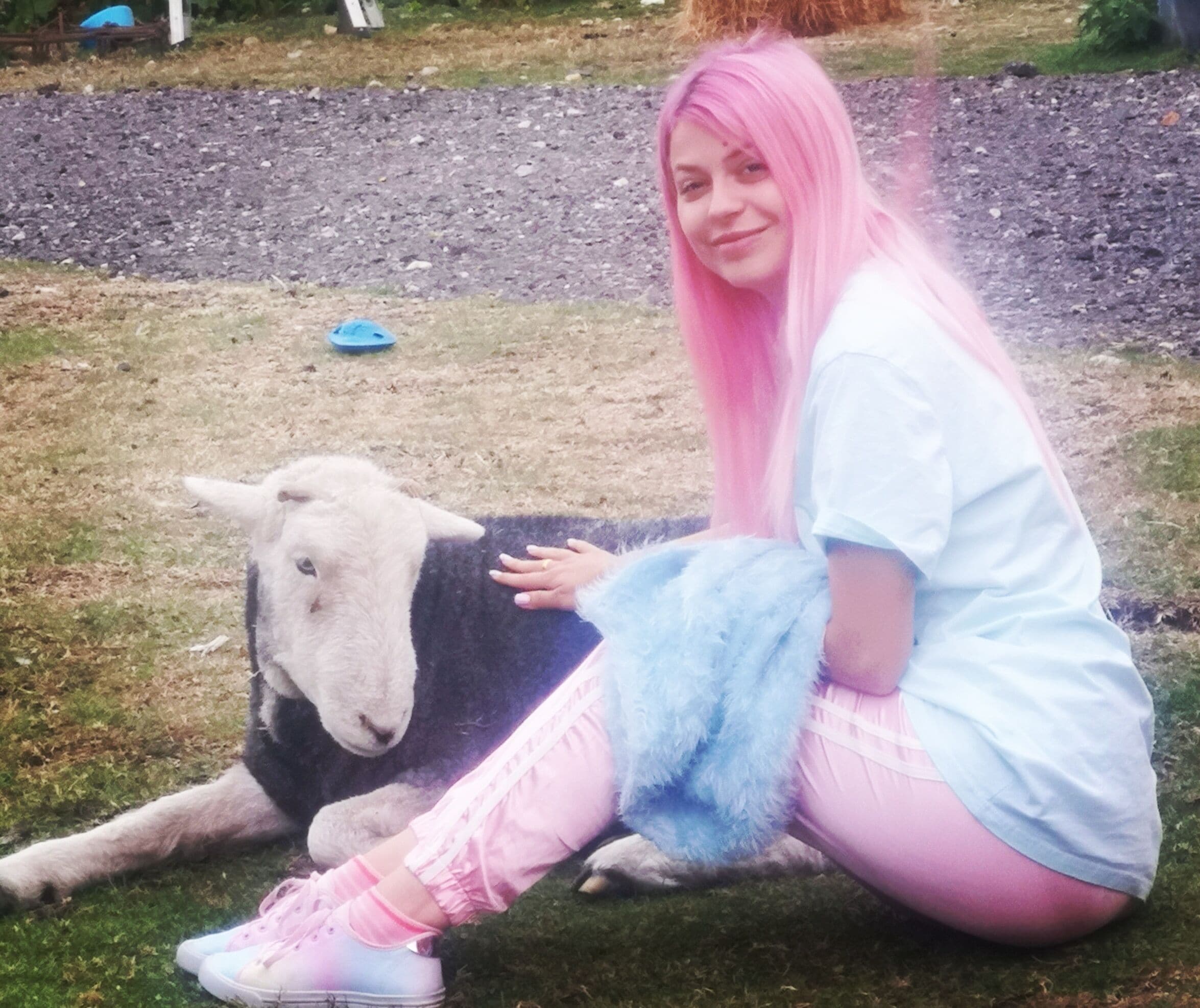 A person sitting on grass with a sheep.