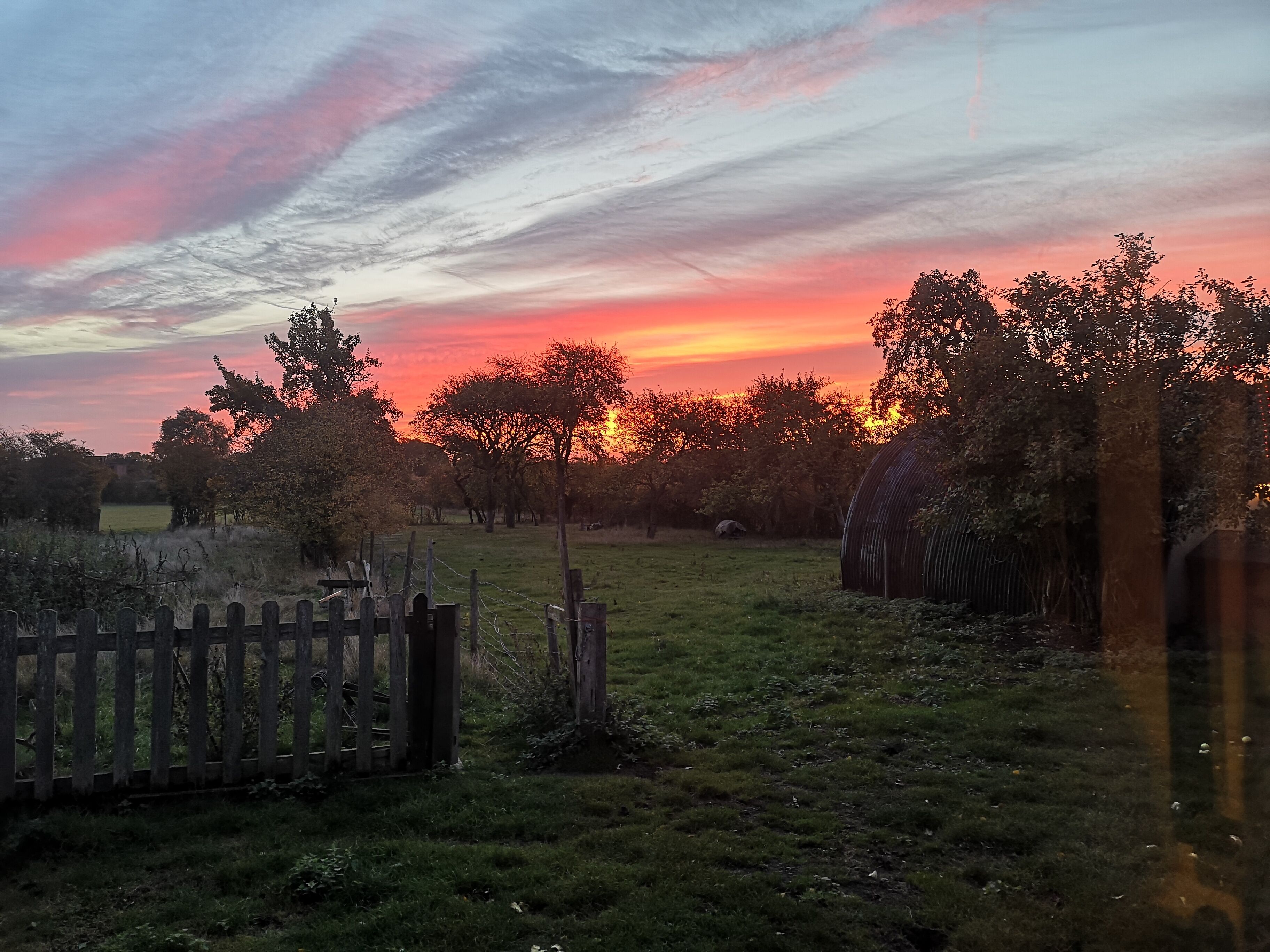Paisaje rural con una cerca de madera, árboles y un campo cubierto de hierba al atardecer.