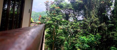 Vue depuis l’hébergement