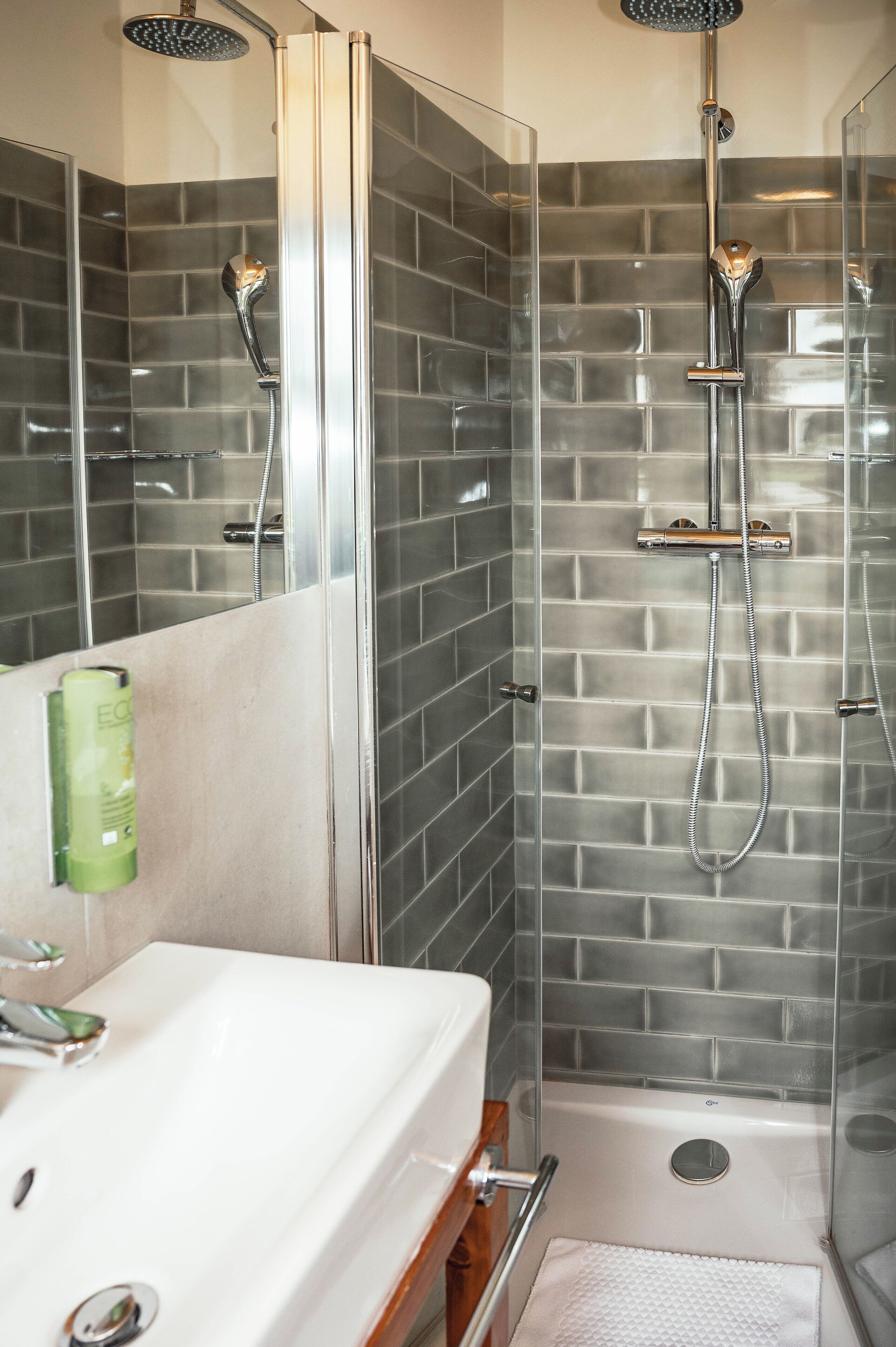 single room | bathroom | shower, hair dryer, towels