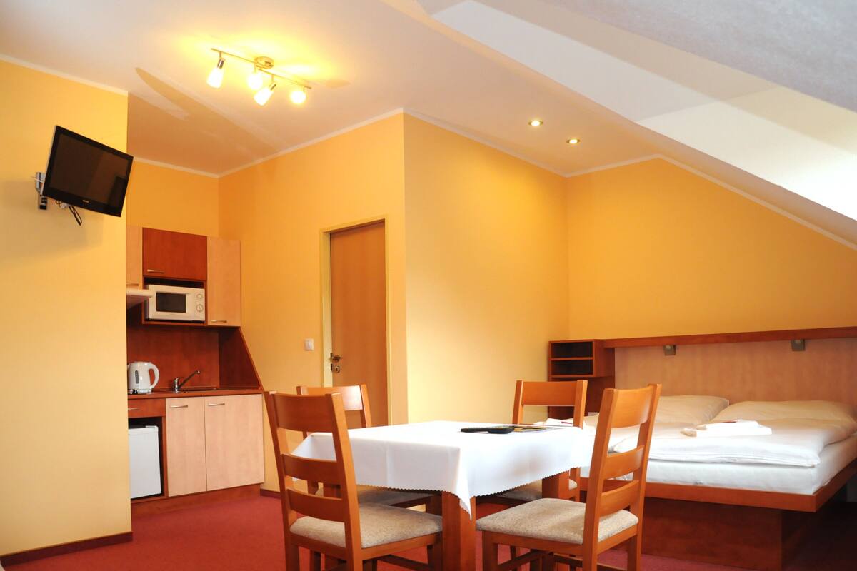 Standard Studio (with Kitchenette)