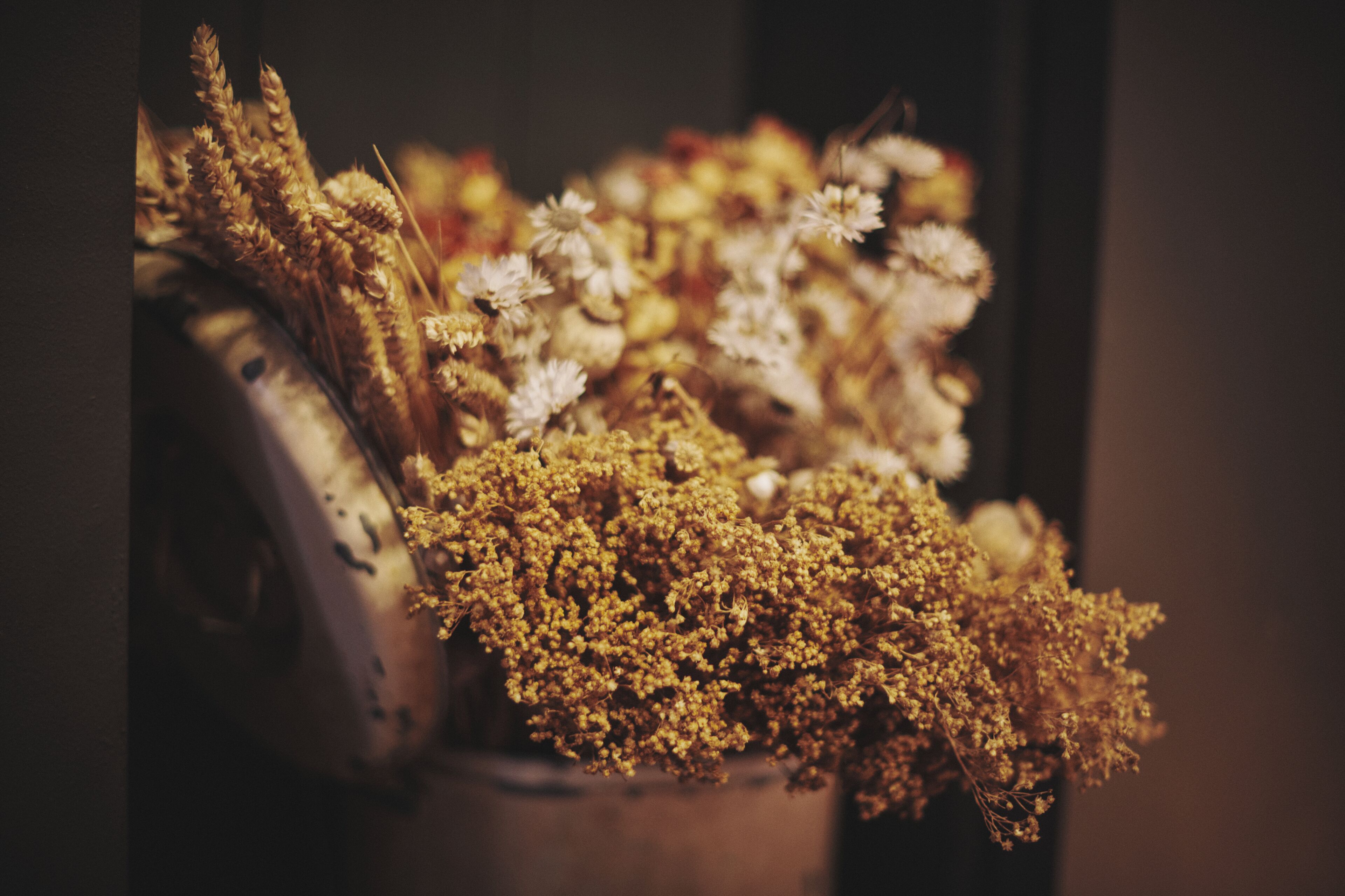 Un gros plan d’un bouquet de fleurs et de plantes séchées, comprenant des tiges de blé et de petites fleurs blanches, sur un fond sombre.