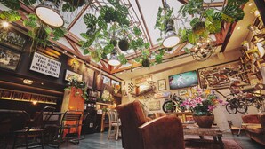 Um interior aconchegante com móveis de madeira, plantas pendentes e uma bicicleta antiga.