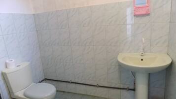 Combined shower/tub, free toiletries, towels