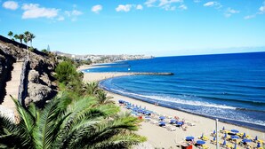 A beach with palm trees, a curved shoreline, and a clear blue sky.
