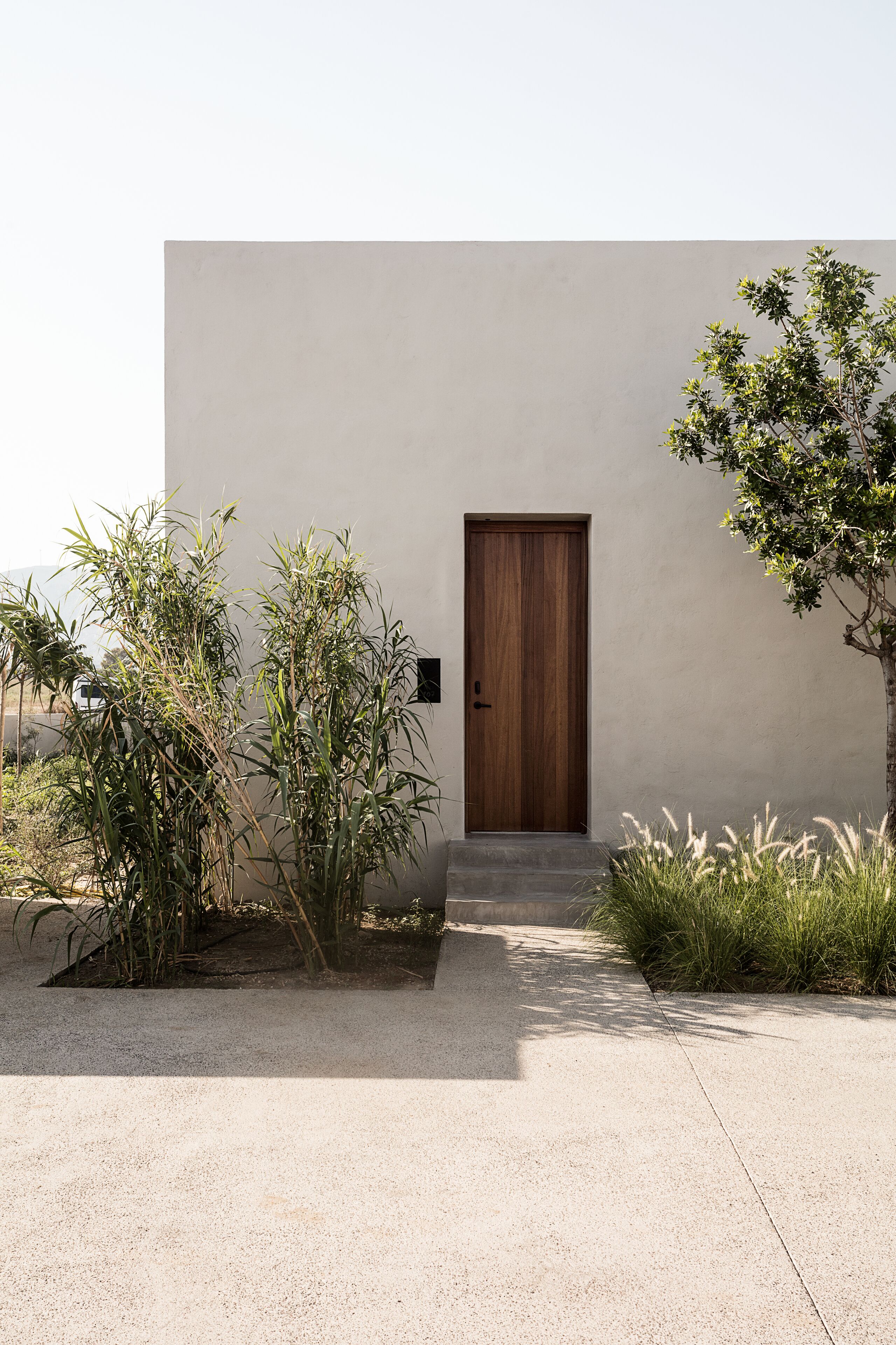A modern building with a wooden door, a concrete pathway, and surrounding greenery.