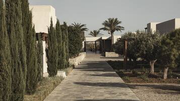 Un chemin menant à un bâtiment à l’architecture moderne, entouré de cyprès et d’un palmier.