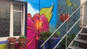 Un mural vibrante con una flor grande en la pared de un edificio, una escalera y plantas en macetas.