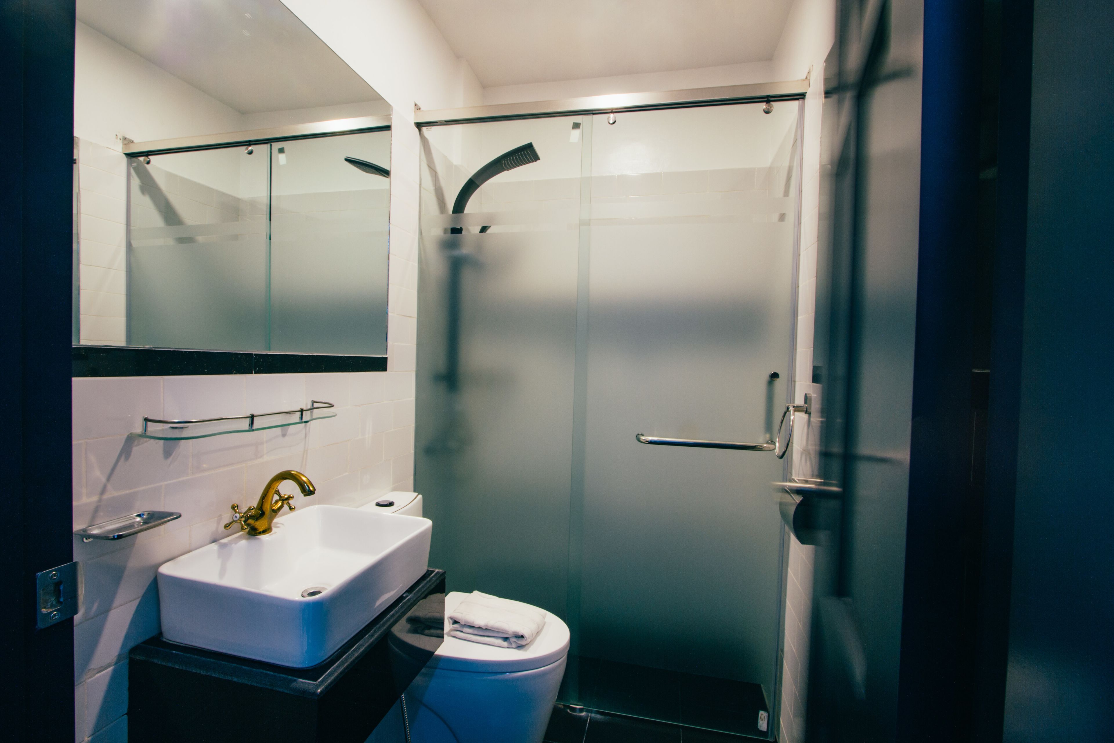 A modern bathroom with a glass shower enclosure, a white sink, and a toilet.