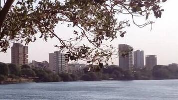 Un paseo fluvial con barandilla de metal, rodeado de árboles y edificios al fondo.