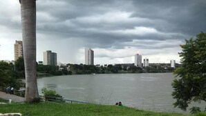 A riverside walkway with a patterned pavement, a palm tree, and a view of a city skyline with buildings across the river. - Pousada Beira Rio (Itumbiara)