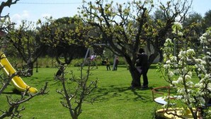 A grassy area with a yellow slide and a small tree with white blossoms. - Agriturismo Arangea (Lequile)