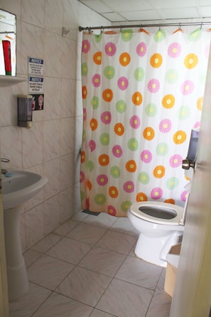 Shower, free toiletries, hair dryer, towels