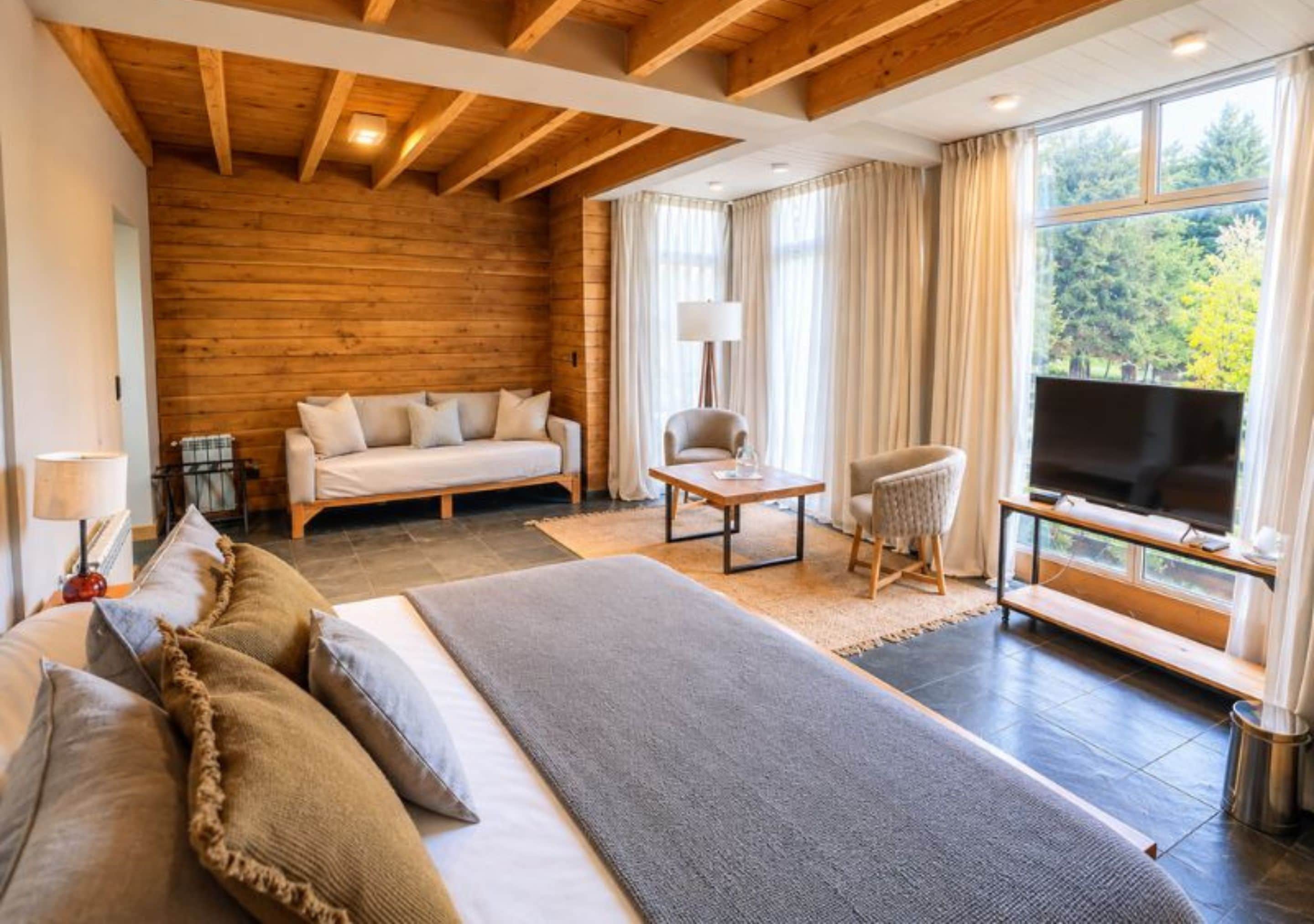 Habitación de hotel con una cama grande, un sofá, una silla, un televisor y una ventana con vista a árboles.